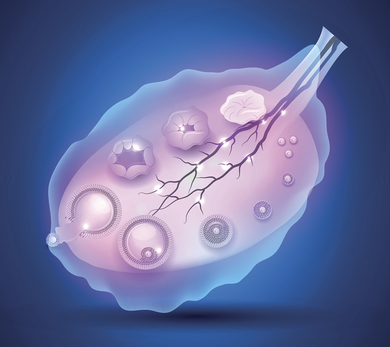 2026新名单！拉萨市做三代试管的医院排名比较好的医院公布